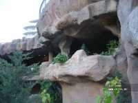 Sunrise Park Resort & Spa 