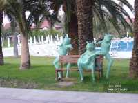Sunrise Park Resort & Spa 