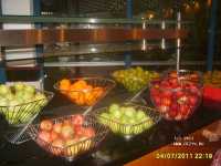 Sunrise Park Resort & Spa 