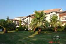 Sunrise Park Resort & Spa 
