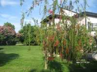 Sunrise Park Resort & Spa 