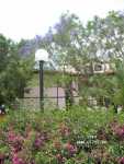 Sunrise Park Resort & Spa 