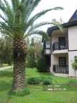 Sunrise Park Resort & Spa 