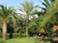 Sunrise Park Resort & Spa 