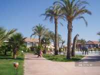 Sunrise Park Resort & Spa 