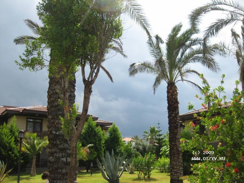 TUI BLUE Palm Garden