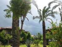 TUI BLUE Palm Garden