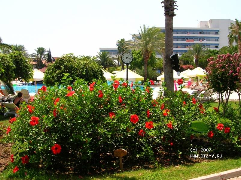 Sunrise Park Resort & Spa