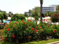 Sunrise Park Resort & Spa 