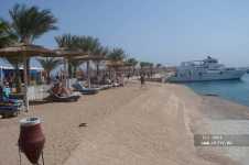 Albatros Garden Resort ����