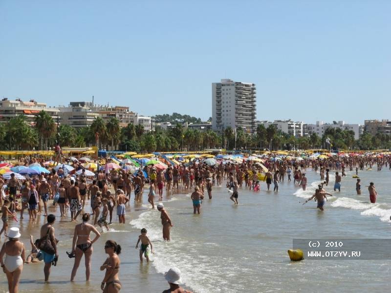   -      (  ).  ,  ...