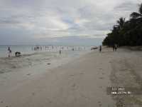 Bohol Beach Club 